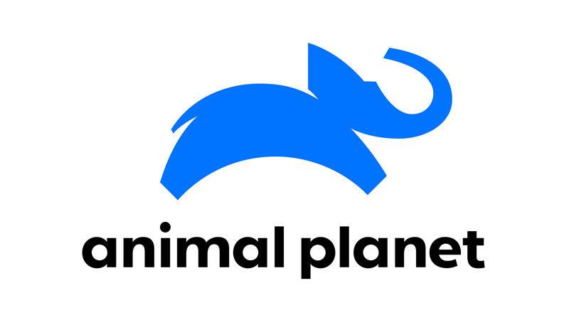 Nowe logo Animal Planet 2018